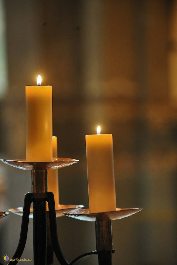 Nom de l'image : E30000411_1_(c)Norbert-JUNG — Description :